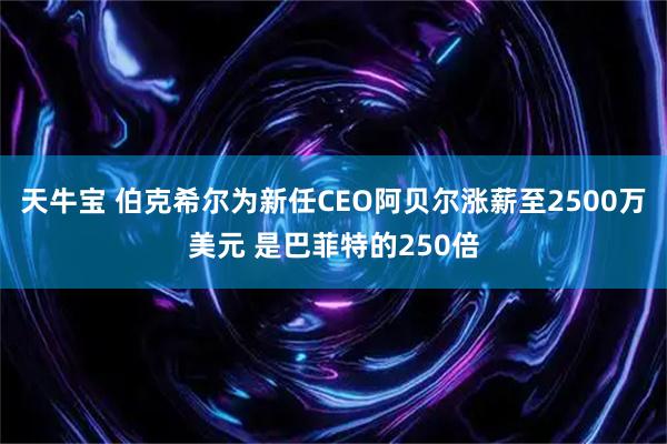 天牛宝 伯克希尔为新任CEO阿贝尔涨薪至2500万美元 是巴菲特的250倍