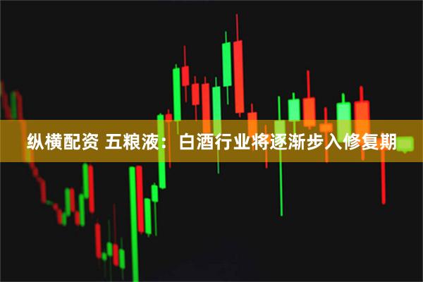纵横配资 五粮液：白酒行业将逐渐步入修复期